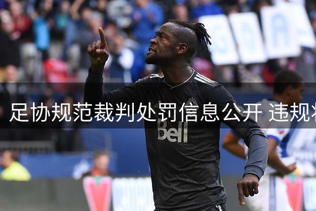 足协规范裁判处罚信息公开 违规将追责